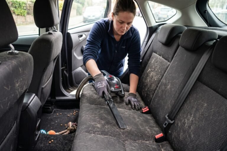 créer image de couverture d article (sans texte dessus et realiste) (format 43) comment enlever les poils de chien dans une voiture